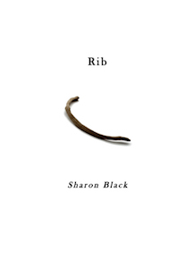 Rib